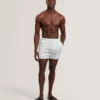 VERDES Palm Print Mid-Length Swim Shorts